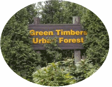 green timbers
