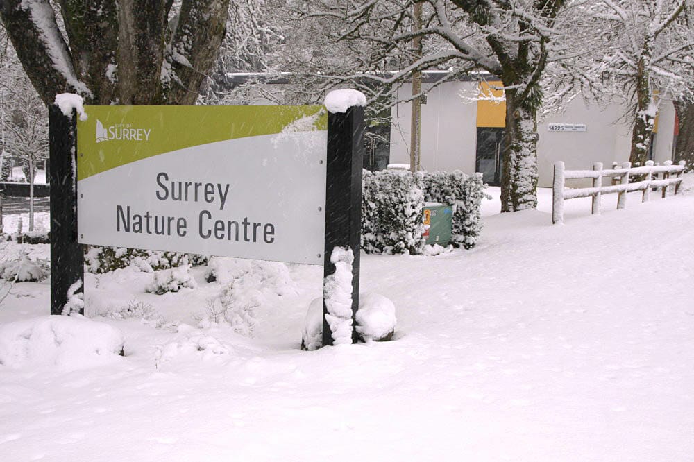 Surrey Nature Centre at Green Timbers